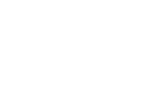 IWV Insurance Agency - Logo 800 White